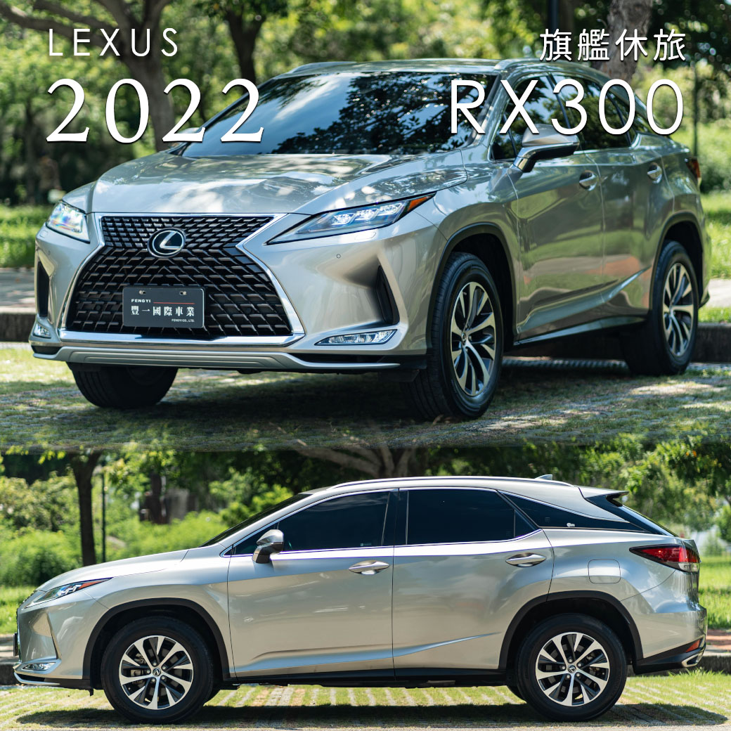 2022 RX300